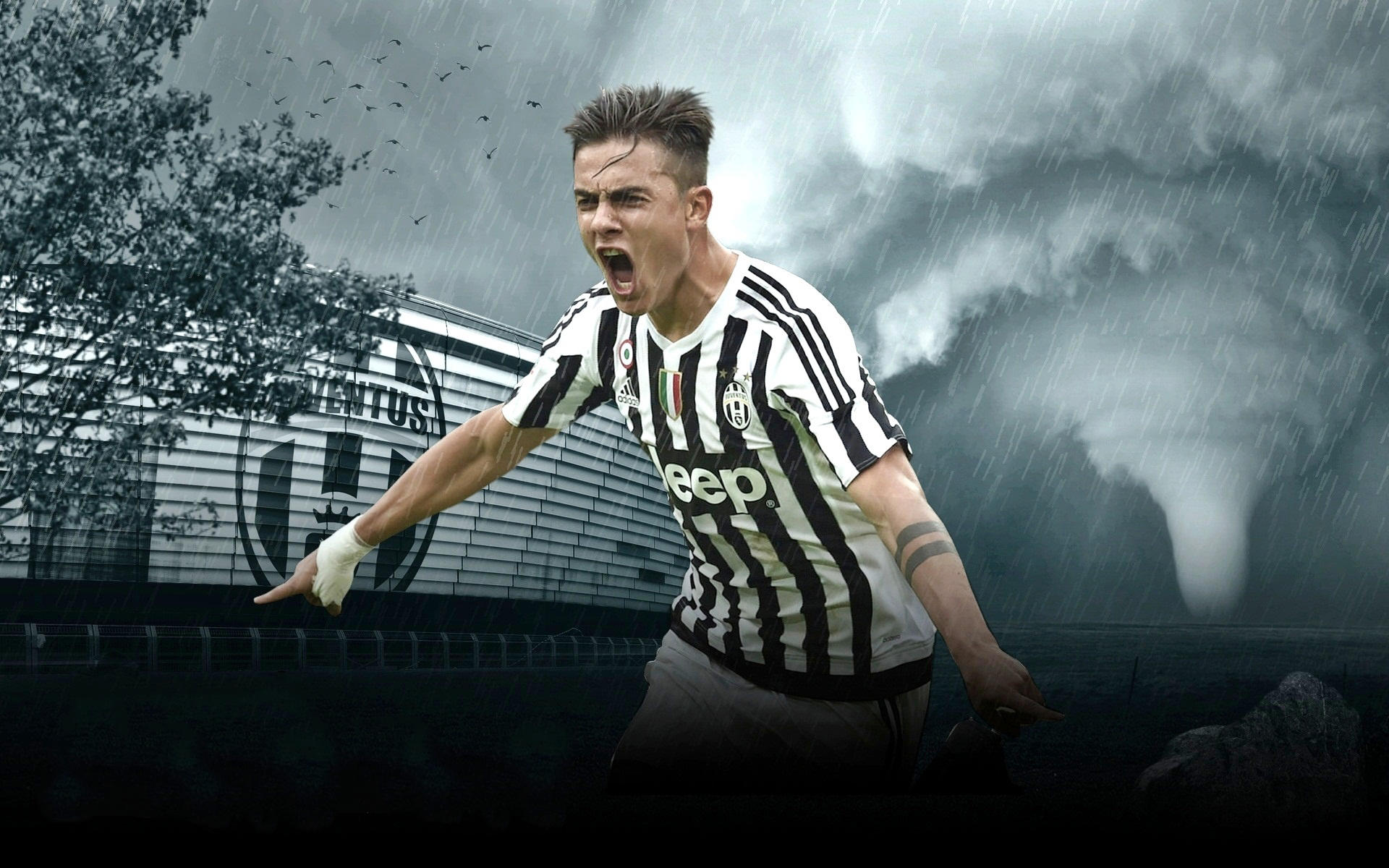 火箭119-96湖人 球员评价：4人优秀，3人及格，2人低迷