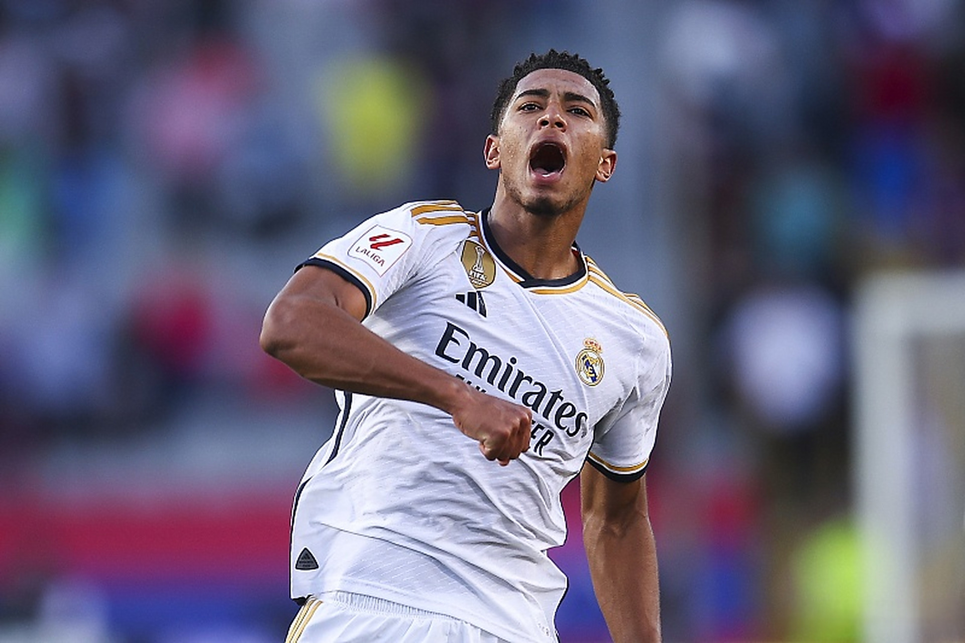 世嘉老IP《海豚历险记》续作确认开发！多部新游策划中